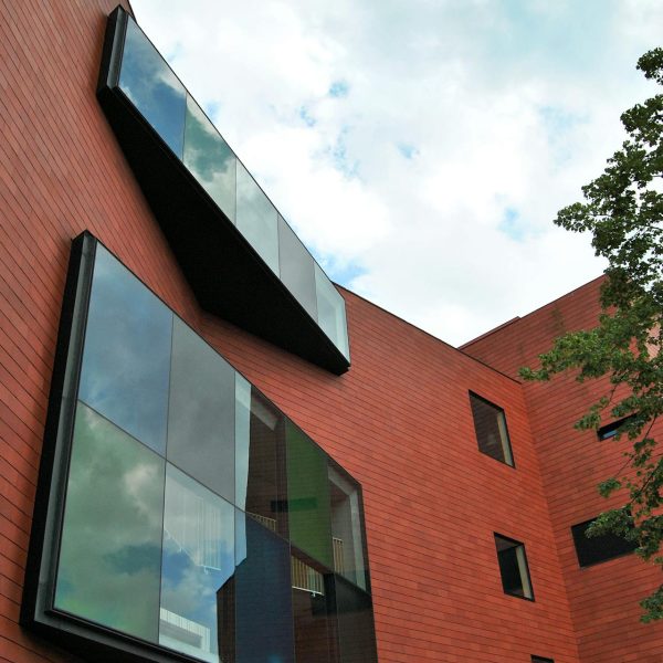 pexels-dakis-d-255106-917332